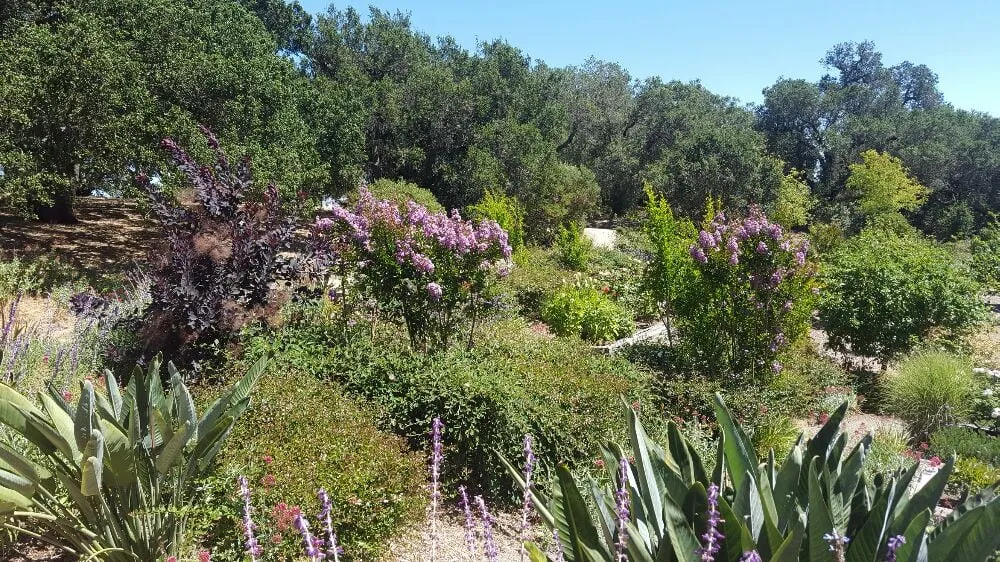 Custom landscape installation for residential properties across Santa Rosa, CA - Gardenia Landscape