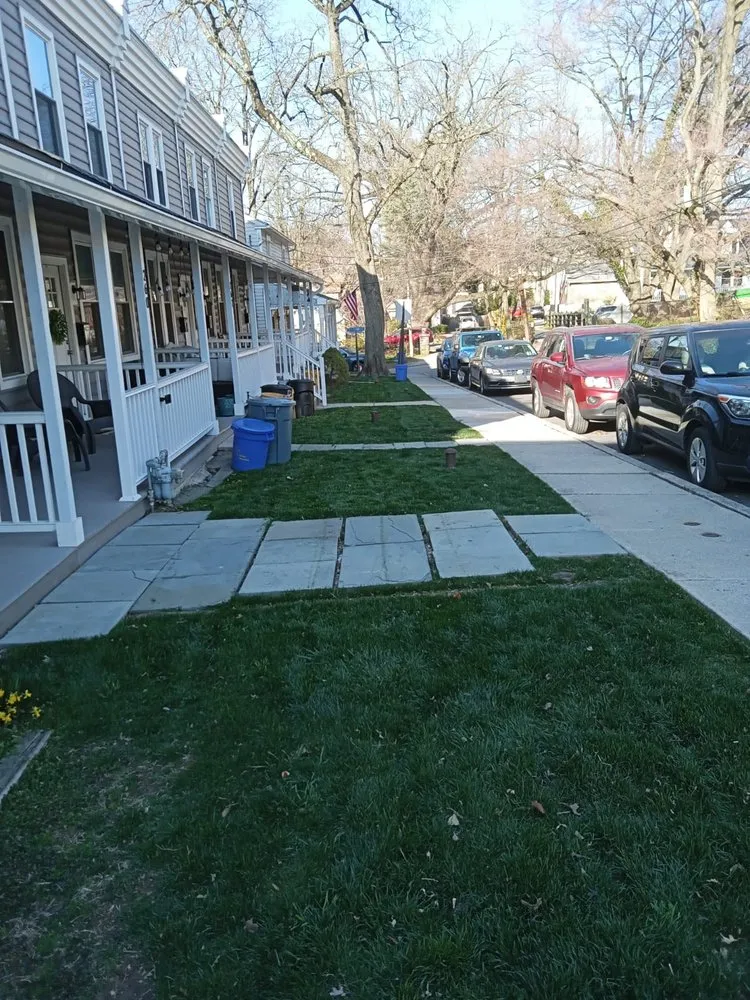Affordable yard maintenance for year-round maintenance across Collingdale, PA - Gardenia Landscaping