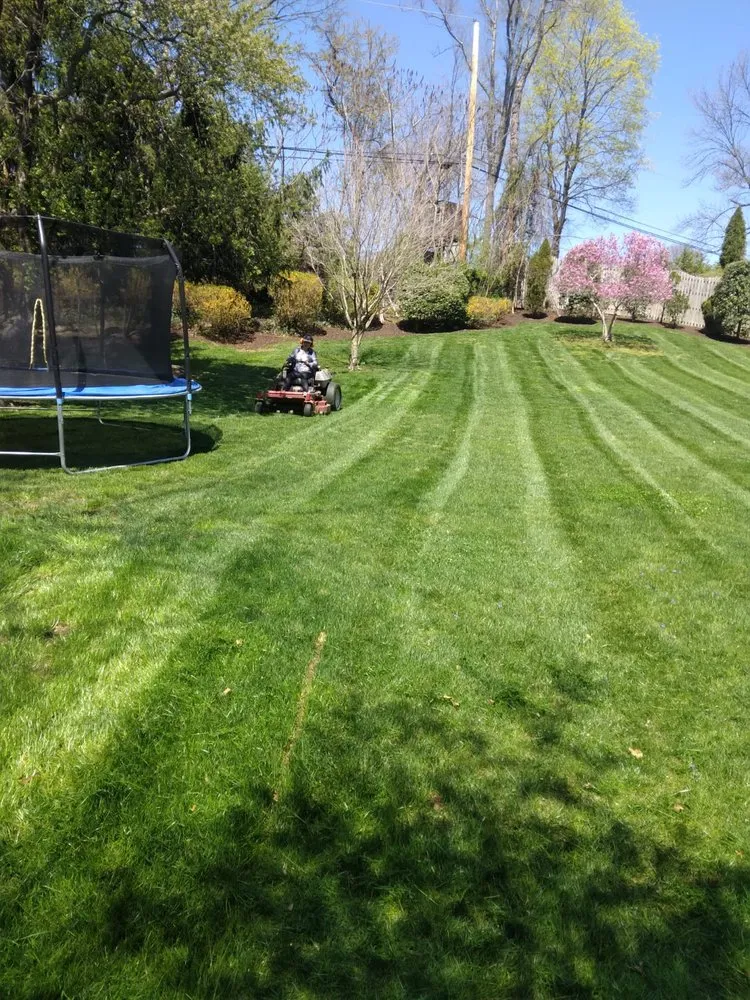 Expert landscape installation for homes in Collingdale, PA by Gardenia Landscaping