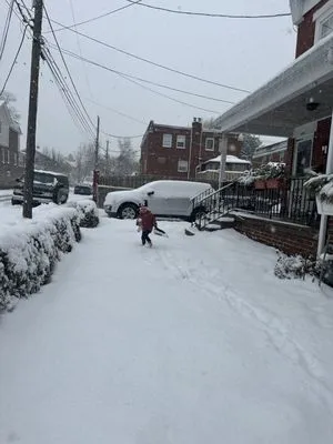 Gardenia Landscaping