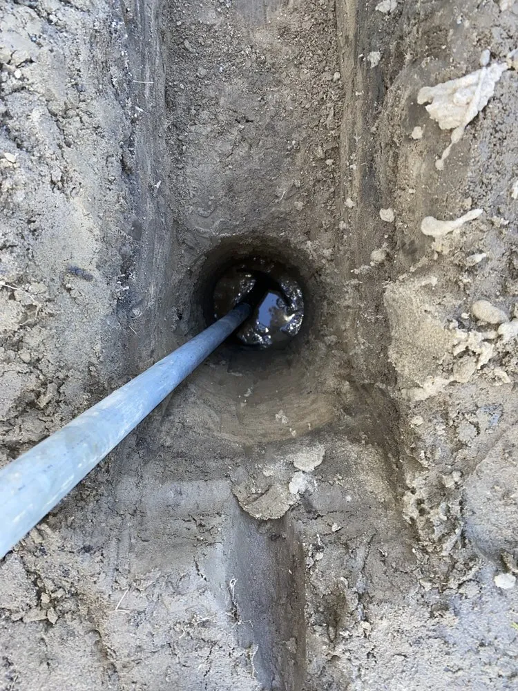 Trusted yard cleanup service experts serving Norfolk, VA - Gardenia landscaping