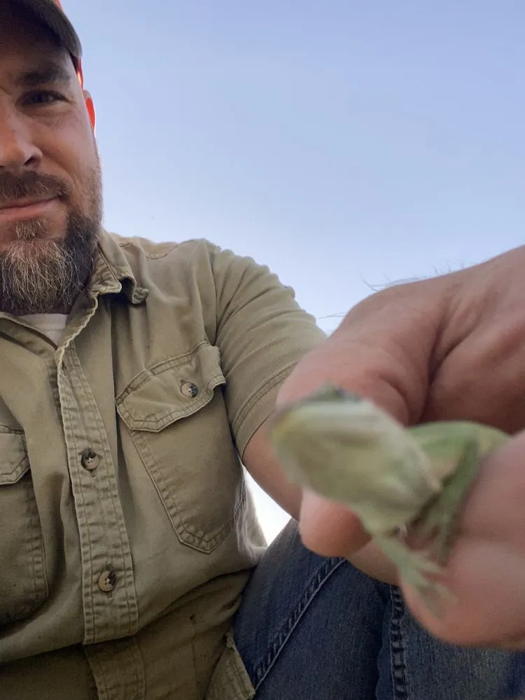 Top-rated residential landscaping near you in Norfolk, VA by Gardenia landscaping