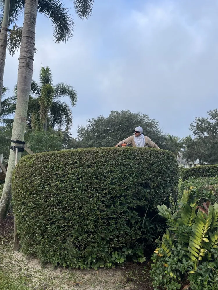 Expert residential landscaping for beautiful yards across Vero Beach, FL - Gardenia Lawn Service