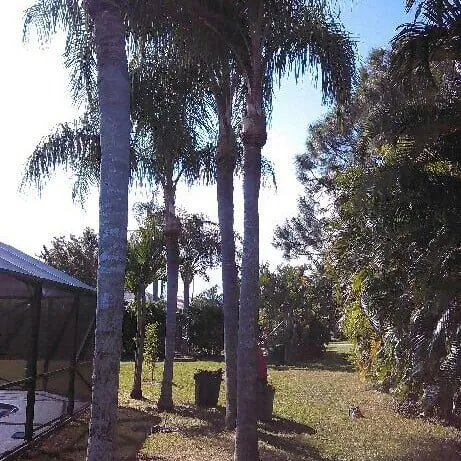 Custom landscaping services for outdoor upgrades in Vero Beach, FL by Gardenia Lawn Service