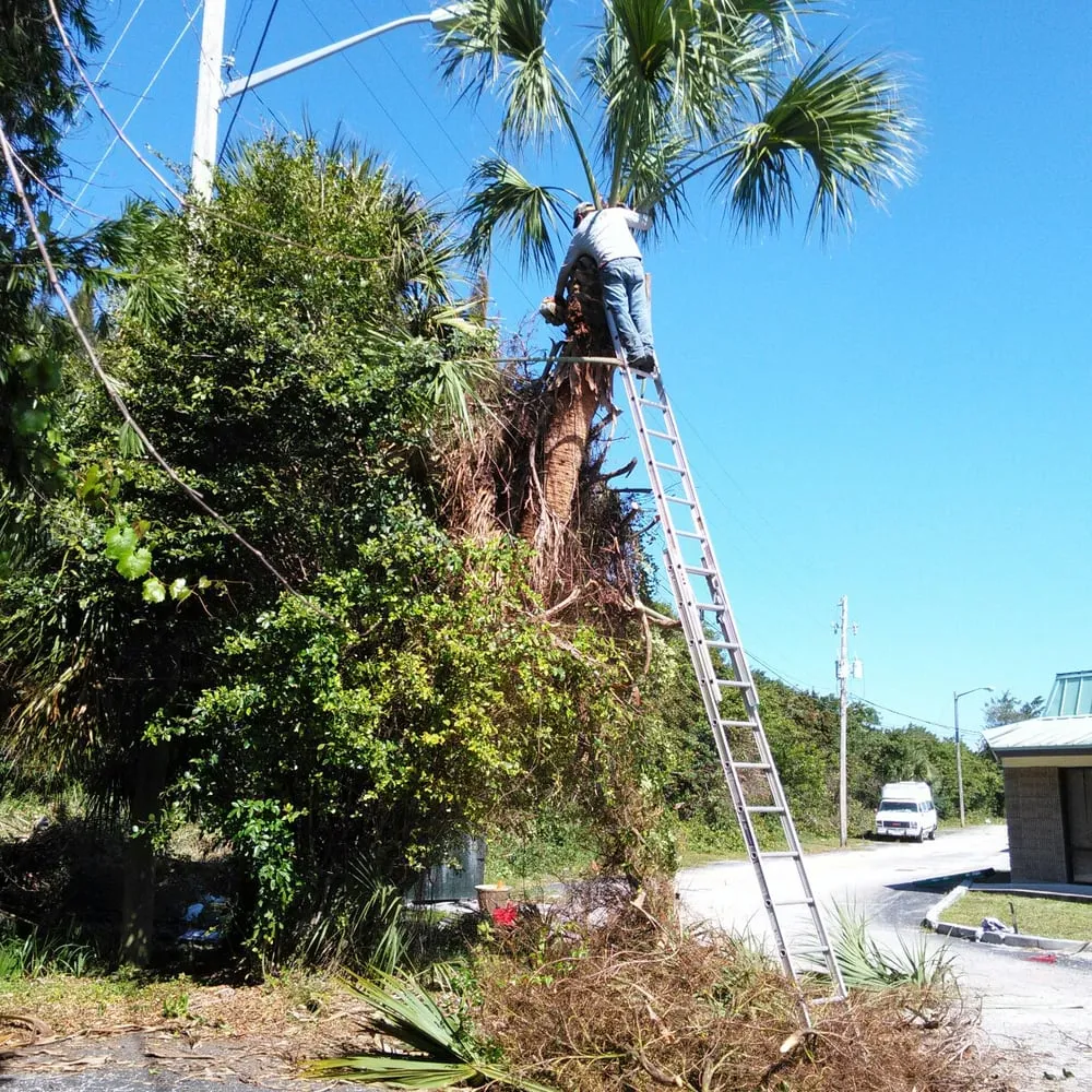 Expert lawn mowing service for outdoor upgrades in Vero Beach, FL by Gardenia Lawn Service