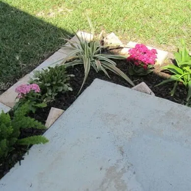 Custom yard cleanup service experts serving Vero Beach, FL - Gardenia Lawn Service