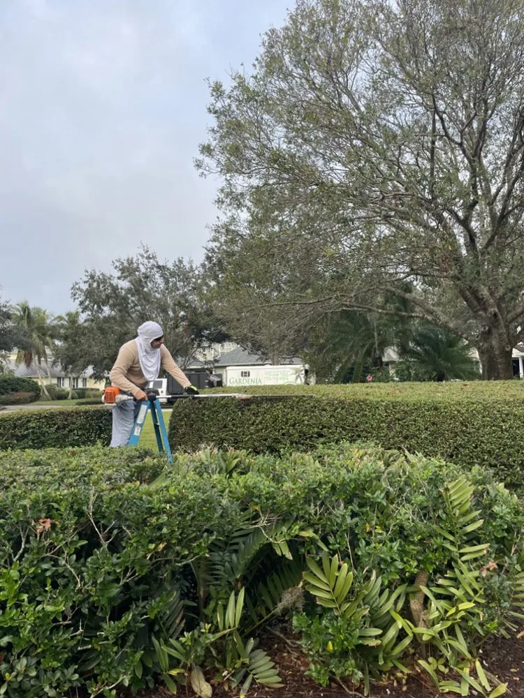 Expert landscape installation in Vero Beach, FL - Gardenia Lawn Service