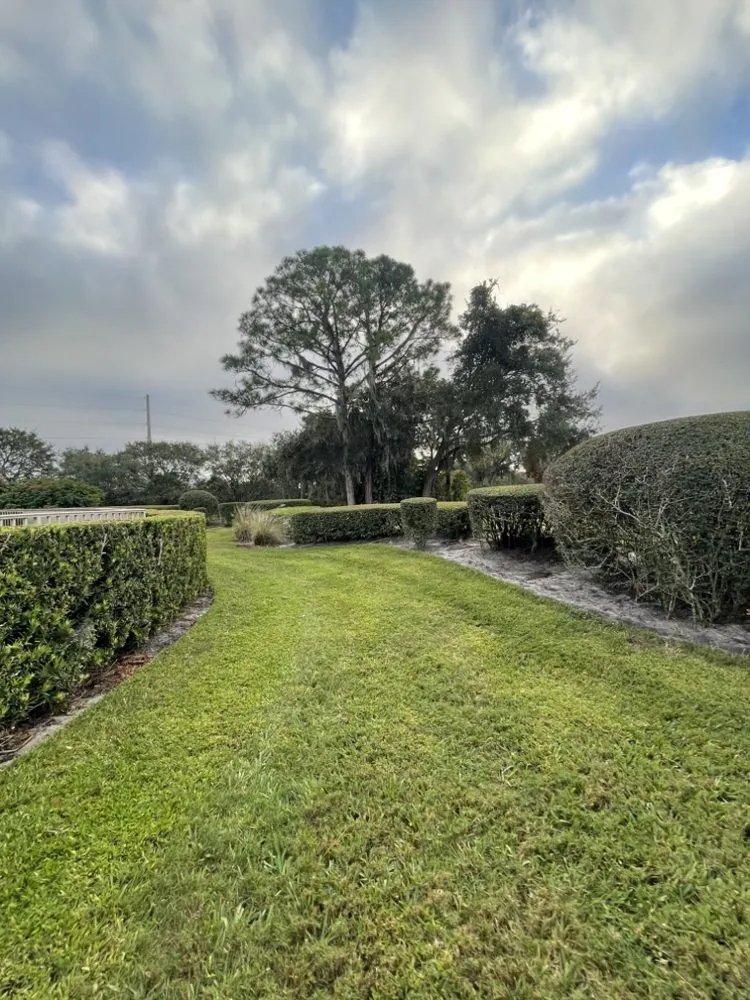 Reliable yard maintenance for beautiful yards in Vero Beach, FL by Gardenia Lawn Service
