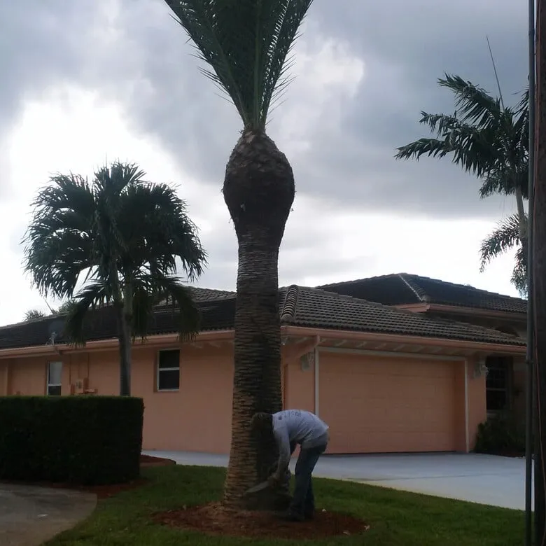 Local lawn mowing service experts serving Vero Beach, FL - Gardenia Lawn Service