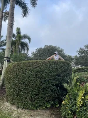 Gardenia Lawn Service Logo