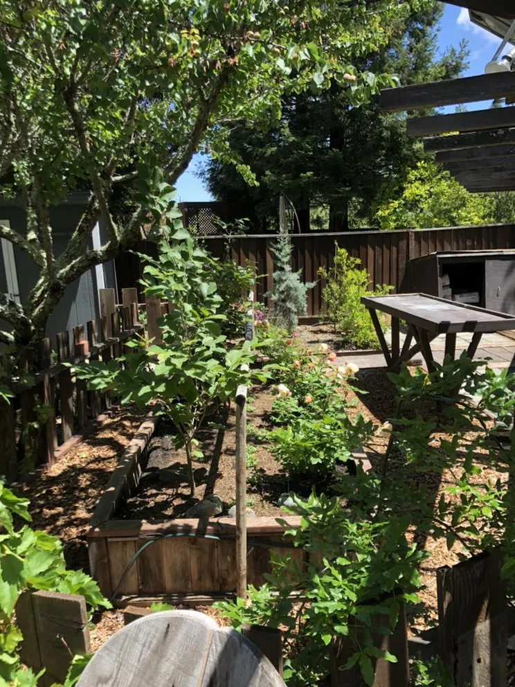 Custom yard cleanup service experts serving Oakland, CA - Gardenias Landscape