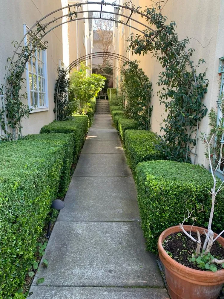 Professional residential landscaping for outdoor upgrades across Oakland, CA - Gardenias Landscape