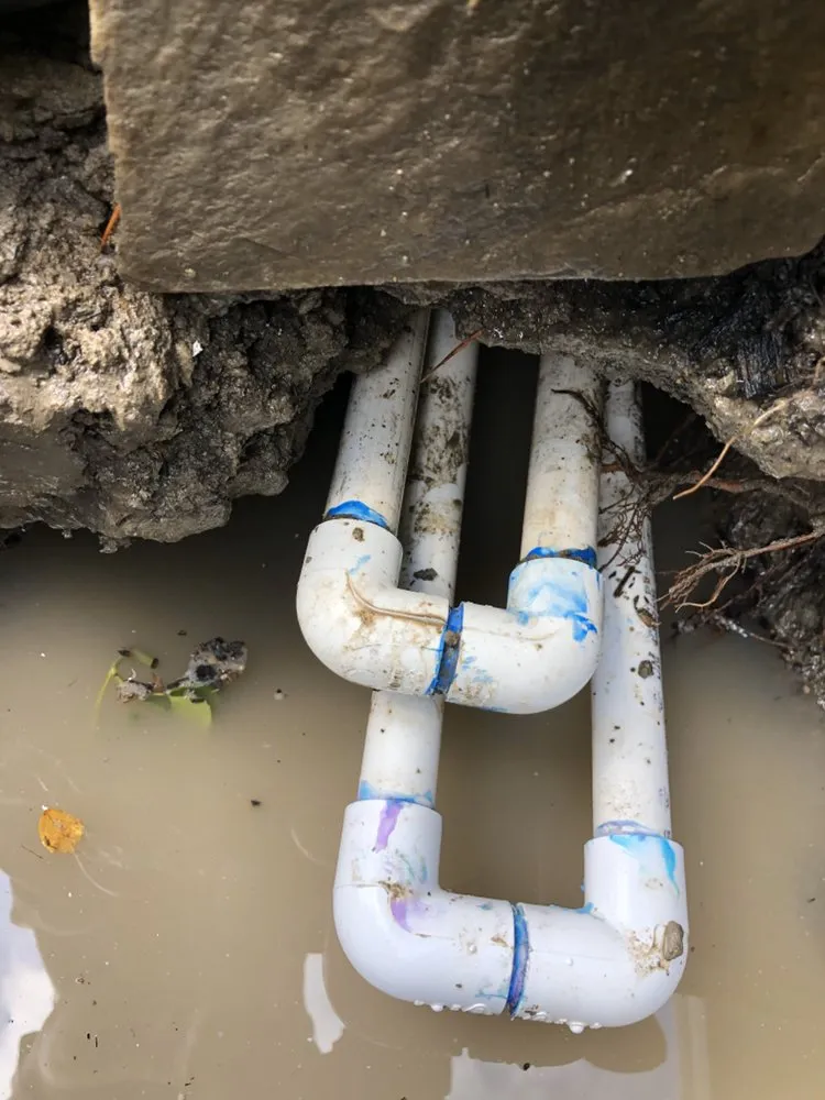 Local lawn care service with custom design in Oakland, CA by Gardenias Landscape