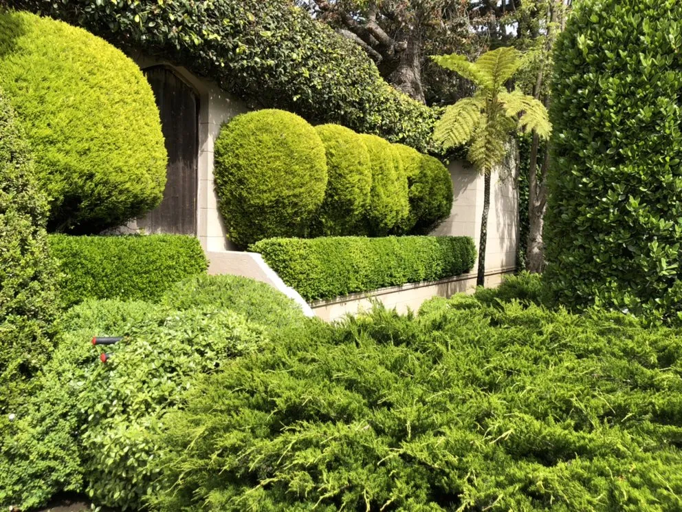 Custom landscape installation for residential properties in Oakland, CA by Gardenias Landscape