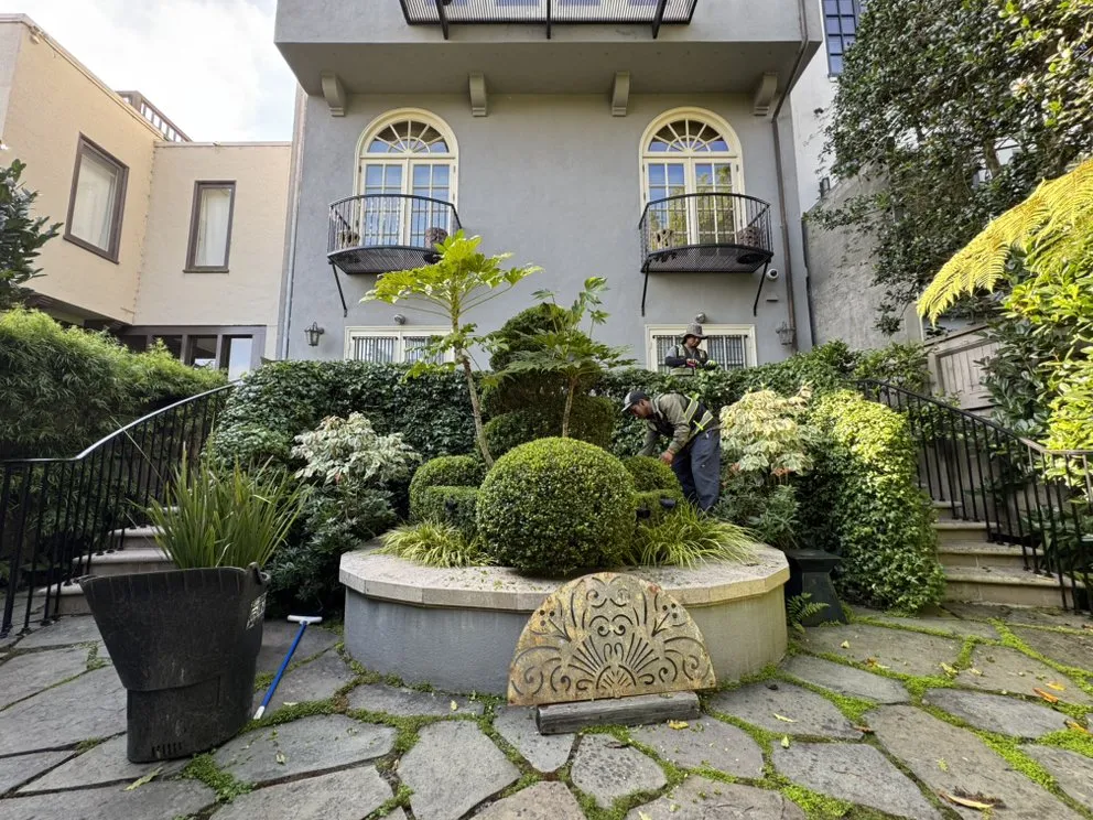 Expert residential landscaping experts serving San Francisco, CA - Gardenias Landscape