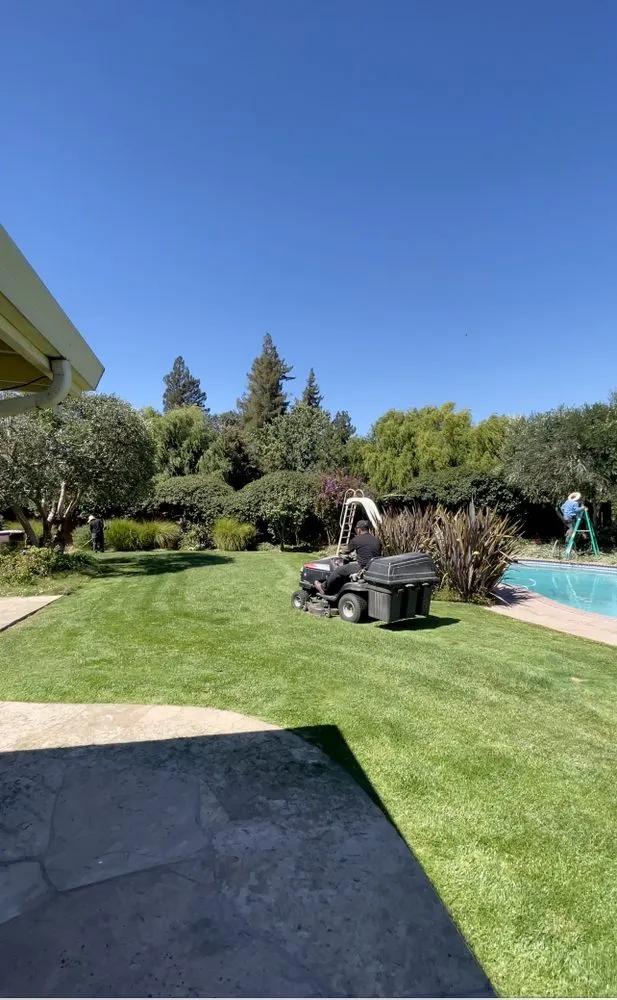 Expert outdoor landscaping for beautiful yards in San Francisco, CA by Gardenias Landscape