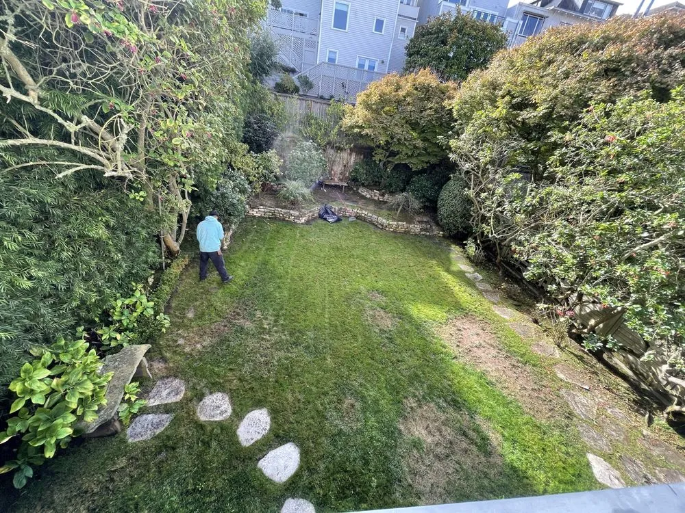 Local landscape design in San Francisco, CA - Gardenias Landscape