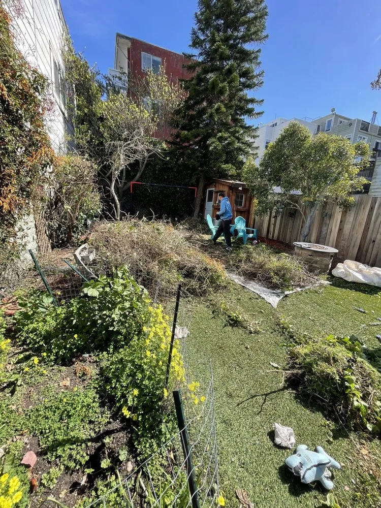 Affordable lawn care service in San Francisco, CA - Gardenias Landscape