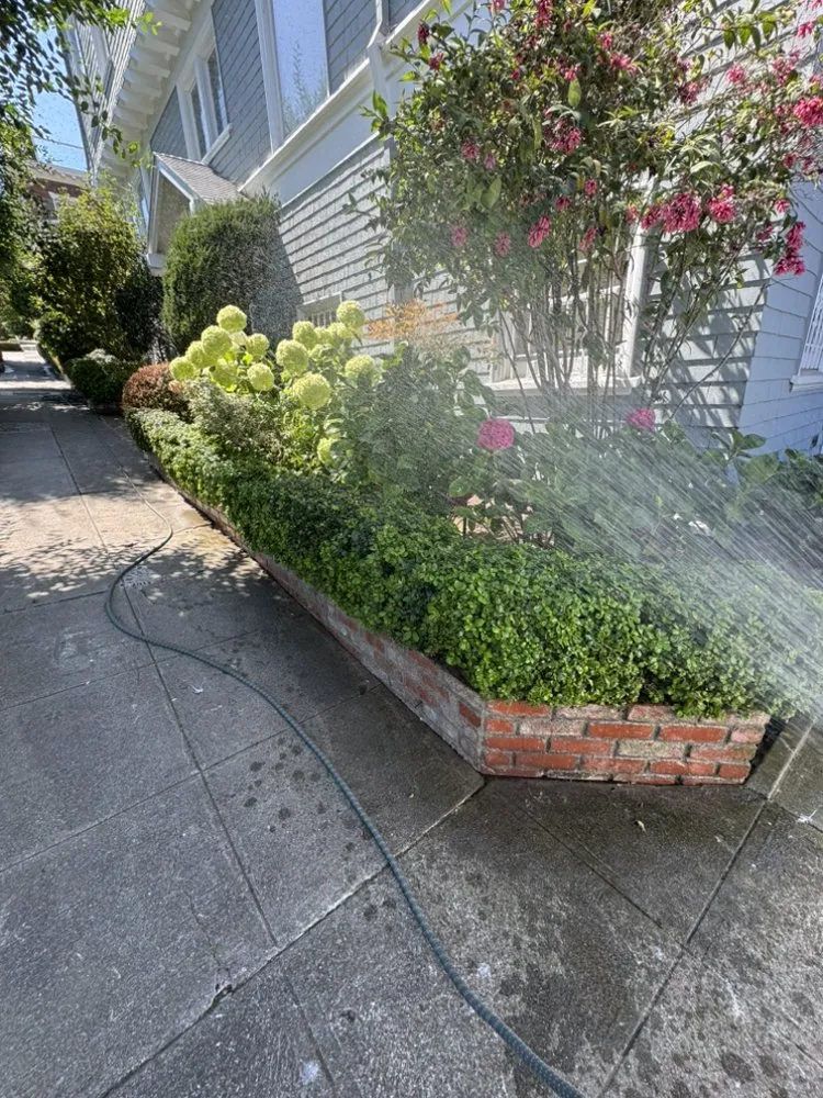 Affordable landscape design for homes in San Francisco, CA by Gardenias Landscape