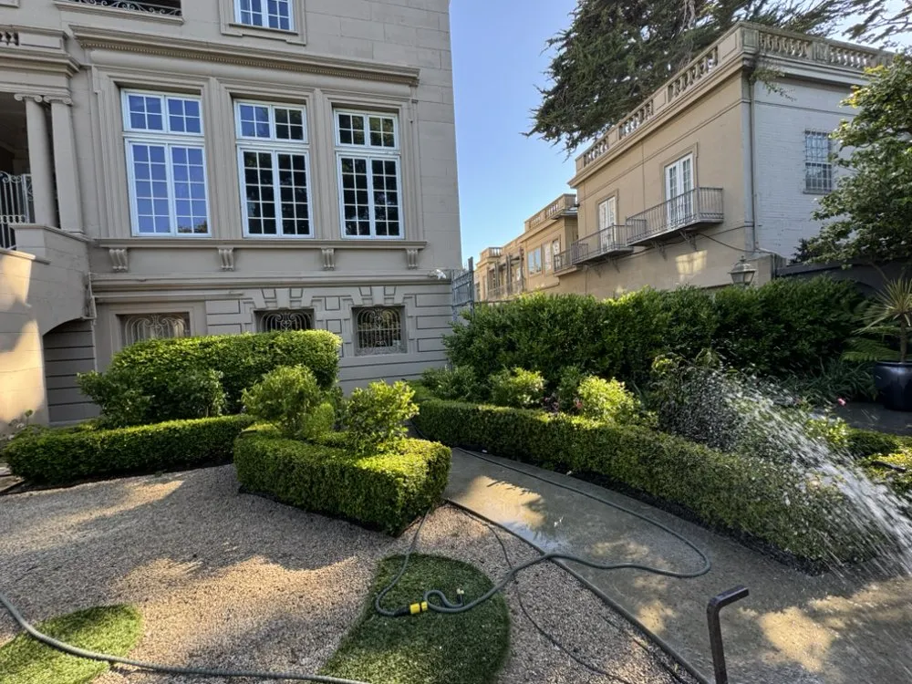 Expert landscape design in San Francisco, CA by Gardenias Landscape