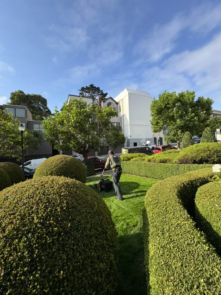 Reliable outdoor landscaping near you in San Francisco, CA by Gardenias Landscape