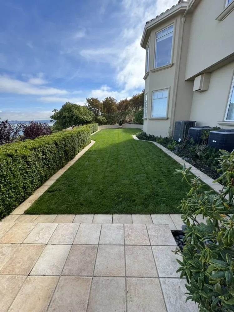 Professional yard maintenance for beautiful yards in San Francisco, CA by Gardenias Landscape