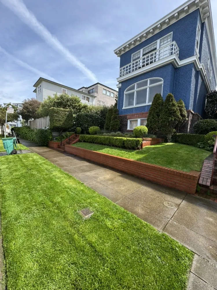 Expert outdoor landscaping in San Francisco, CA by Gardenias Landscape