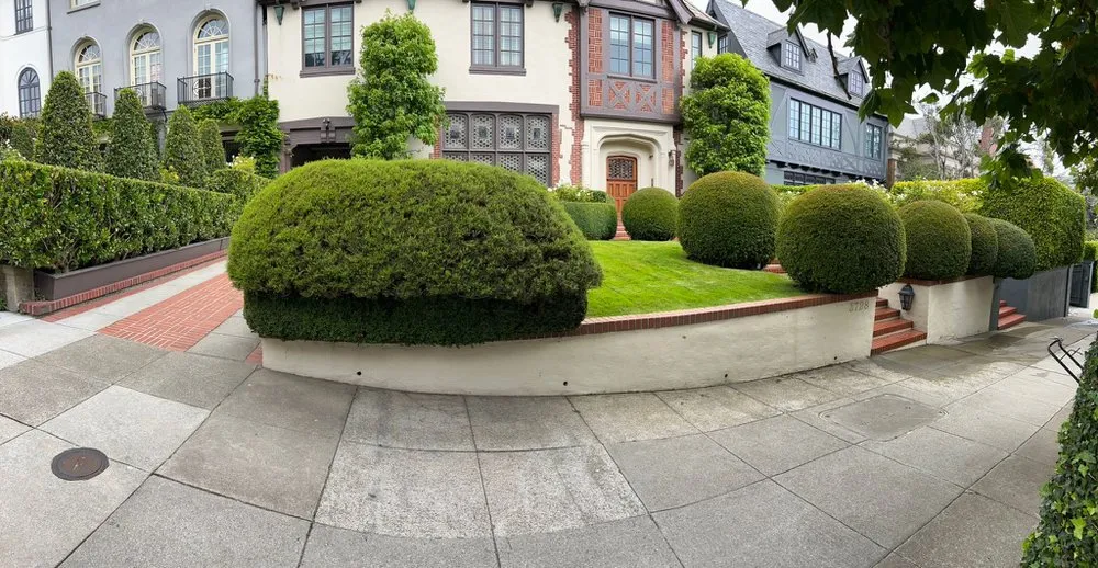 Top-rated yard maintenance experts serving San Francisco, CA - Gardenias Landscape