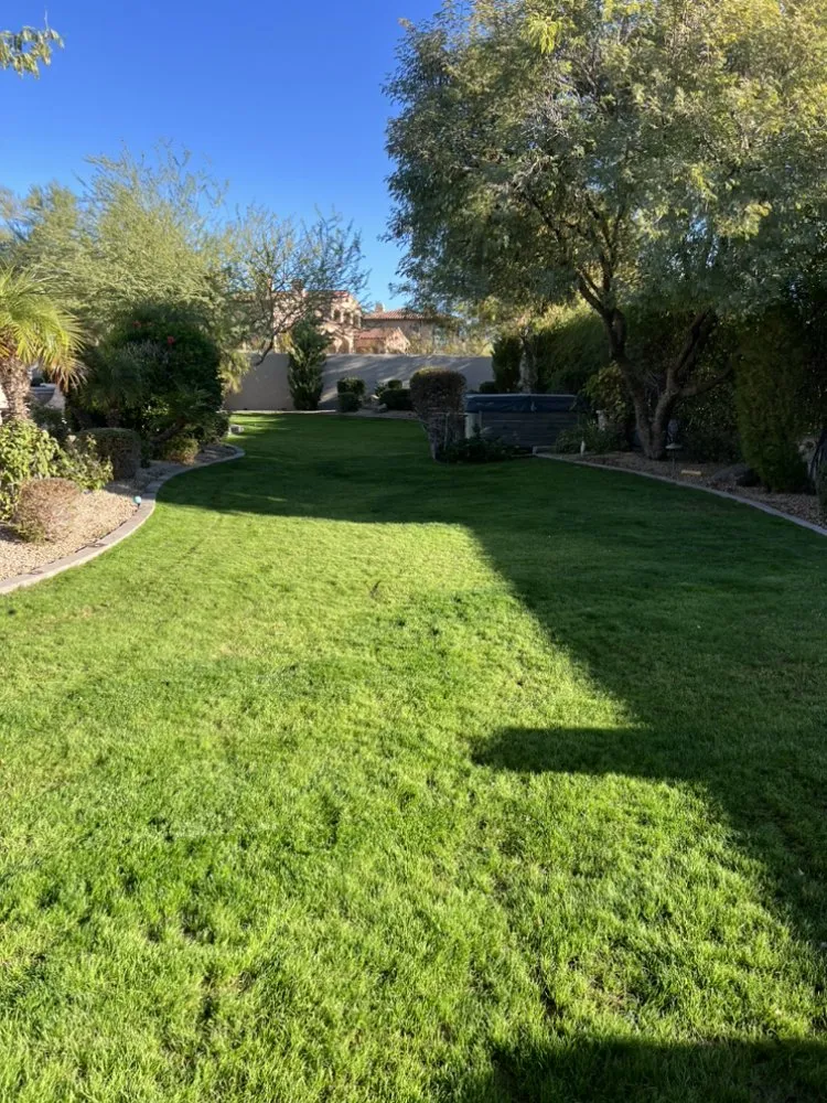 Expert yard maintenance near you in Fountain Hills, AZ by Gardenias Landscaping