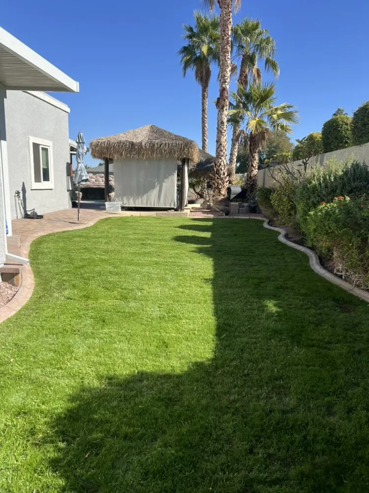 Trusted landscape design for residential properties across Fountain Hills, AZ - Gardenias Landscaping