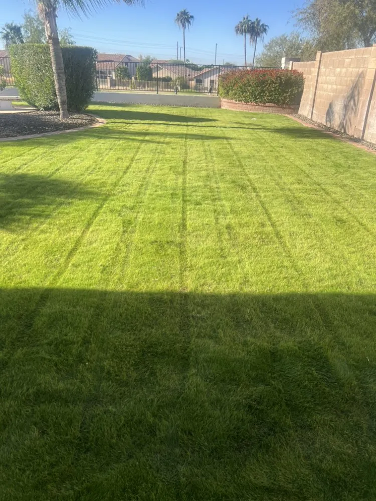 Expert garden landscaping in Fountain Hills, AZ by Gardenias Landscaping