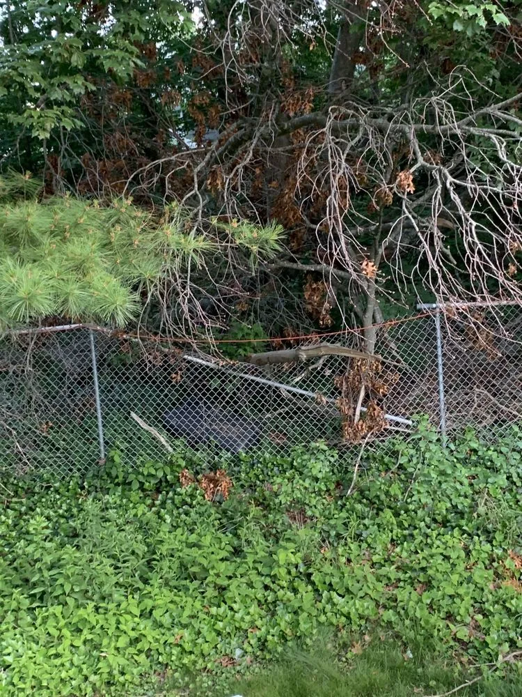 Custom residential landscaping experts serving Easton, MA - Gardenin' Angels