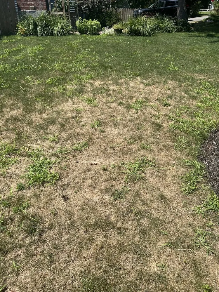 Affordable residential landscaping in Easton, MA by Gardenin' Angels