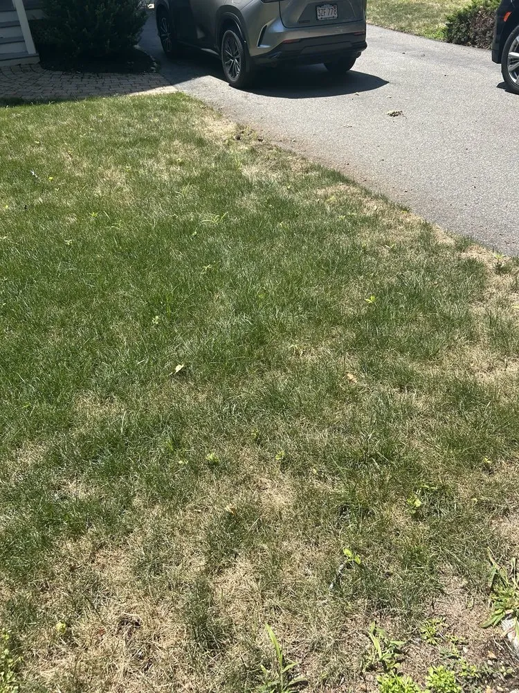 Professional landscape design in Easton, MA by Gardenin' Angels