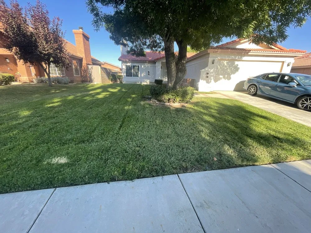 Affordable yard maintenance in Lancaster, CA by Gardening & Maintenance