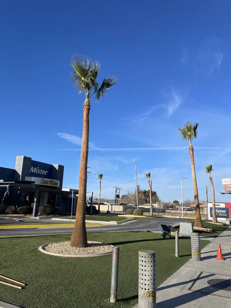 Top-rated landscape installation in Lancaster, CA - Gardening & Maintenance