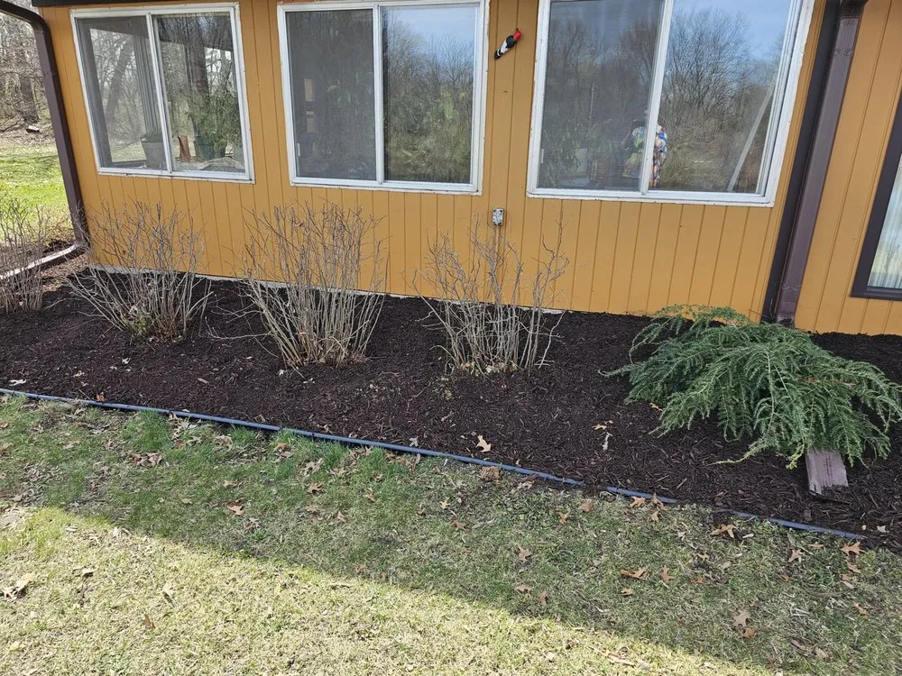 Local landscape installation for beautiful yards across South Beloit, IL - Gardening America