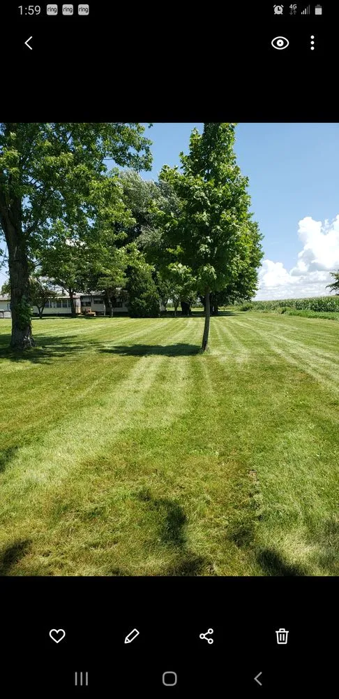 Custom yard maintenance in South Beloit, IL - Gardening America