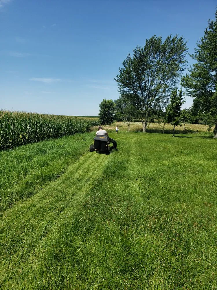 Top-rated garden landscaping experts serving South Beloit, IL - Gardening America