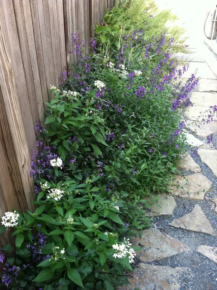 Affordable outdoor landscaping experts serving Washington DC, DC - Gardening and Gentle Redesign