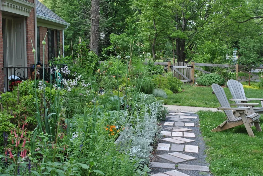 Trusted lawn mowing service in Washington DC, DC - Gardening and Gentle Redesign