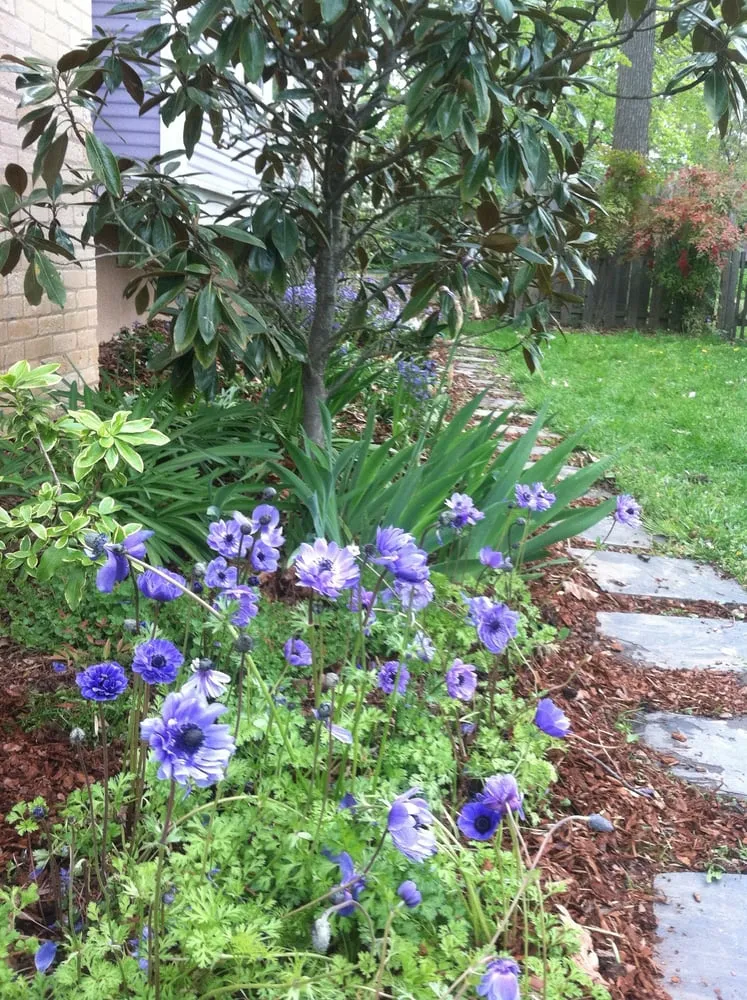 Expert landscaping services near you across Washington DC, DC - Gardening and Gentle Redesign