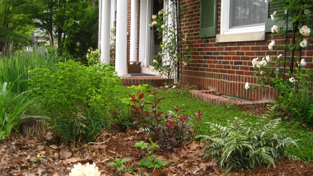 Reliable garden landscaping in Washington DC, DC - Gardening and Gentle Redesign