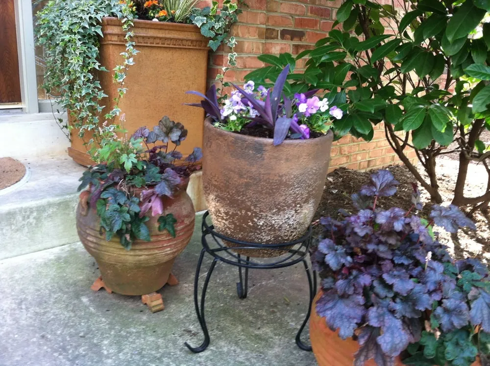 Top-rated lawn care service experts serving Washington DC, DC - Gardening and Gentle Redesign