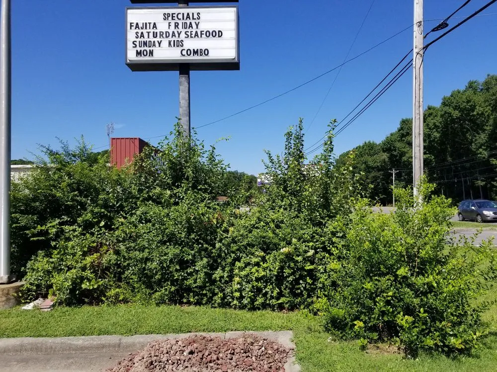 Trusted lawn mowing service near you across Powells Point, NC - Gardening Angel Landscaping