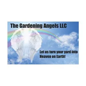 Local yard cleanup service for beautiful yards in Savannah, GA by Gardening Angels And House Cleaning