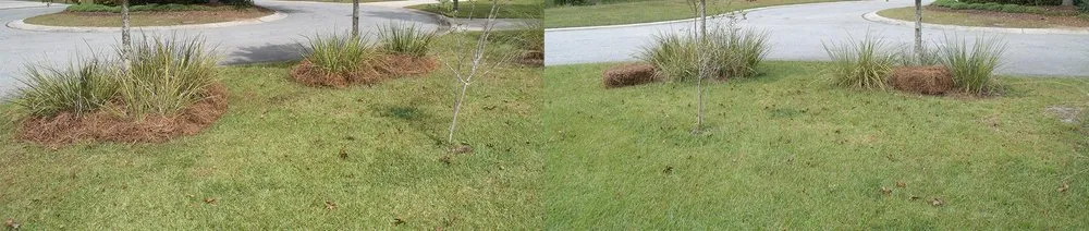 Reliable landscape design for residential properties in Savannah, GA by Gardening Angels And House Cleaning