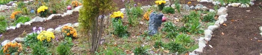 Expert yard cleanup service in Savannah, GA by Gardening Angels And House Cleaning