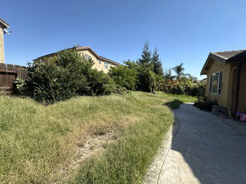 Trusted yard cleanup service for year-round maintenance across Ceres, CA - Gardening By Omar