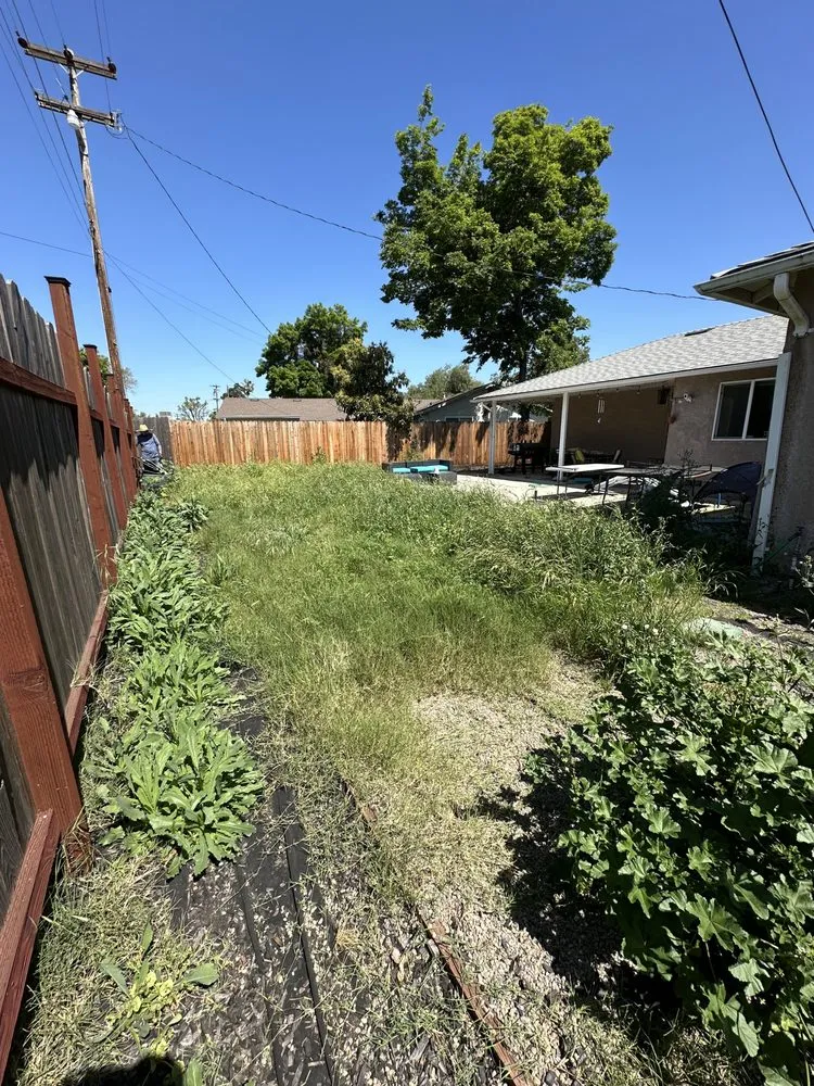 Reliable lawn mowing service in Ceres, CA by Gardening By Omar